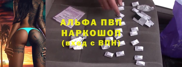 амф Горняк