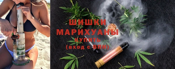 амф Горняк