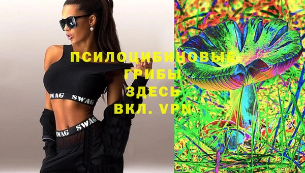 амф Горняк