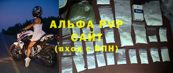 амф Горняк