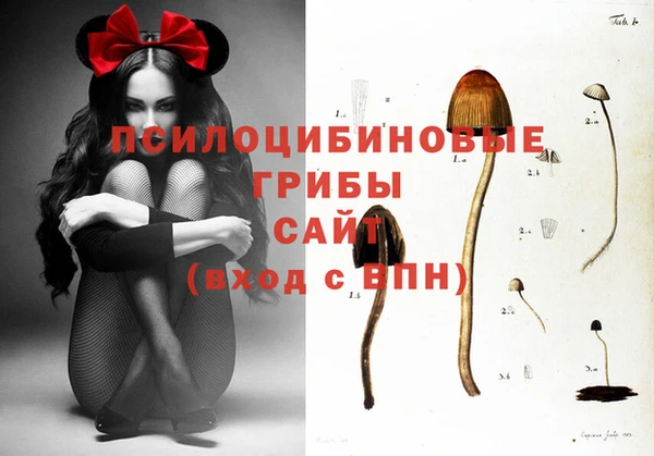 амф Горняк