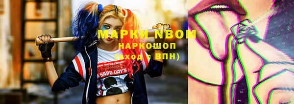амф Горняк