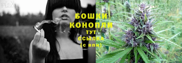 амф Горняк